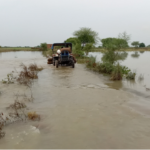 गंगा के बढ़ते जलस्तर से ग्रामीण इलाकों में चिंता, पटना के कई क्षेत्रों में बाढ़ का असर बढ़ा