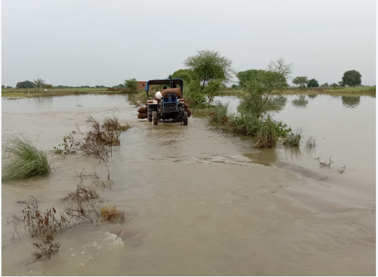 गंगा के बढ़ते जलस्तर से ग्रामीण इलाकों में चिंता, पटना के कई क्षेत्रों में बाढ़ का असर बढ़ा