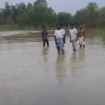 बिहार: बाढ़ प्रभावित पंचायतों में बढ़ीं चुनौतियां, फसलों के नुकसान और टूटते संपर्क पथ से ग्रामीण परेशान; अलर्ट पर प्रशासन